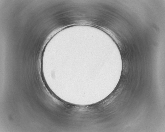 X0000114511387200911301139