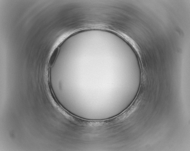 X0000114511389200911301139