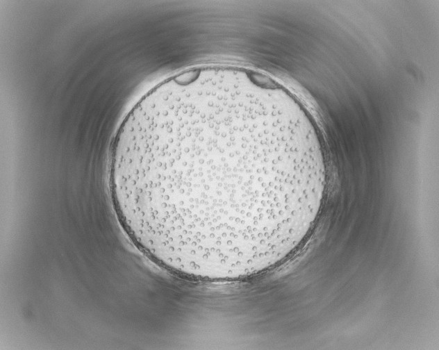 X0000114511390200911301139