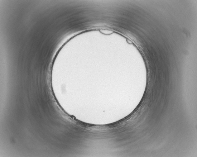 X0000114511392200911301139