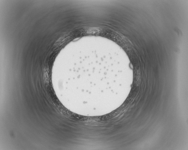 X0000114511394200911301138