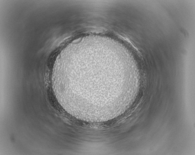 X0000114511399200911301138