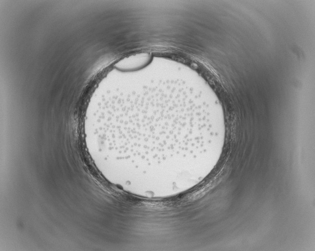 X0000114511402200911301138