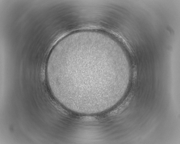 X0000114511409200911301138