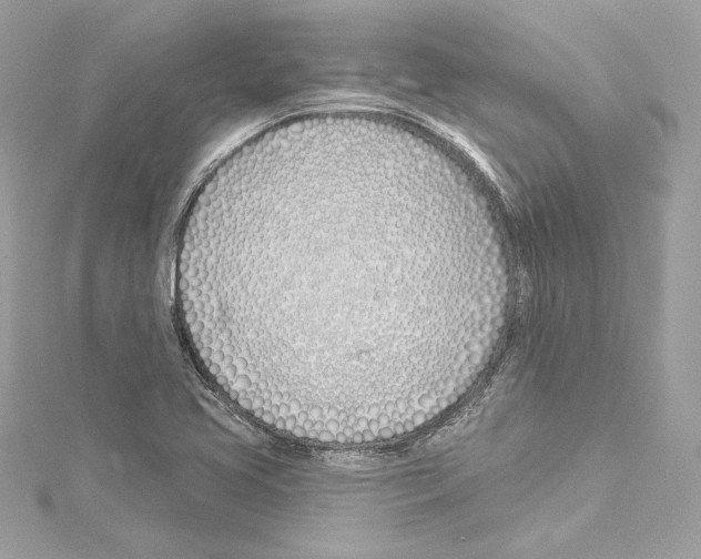 X0000114511413200911301138