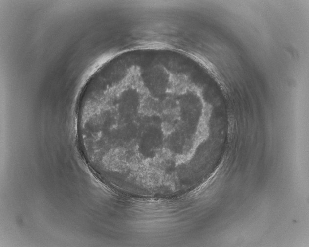 X0000114511414200911301138