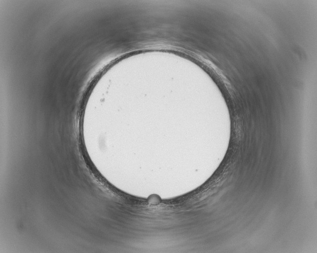 X0000114511416200911301138