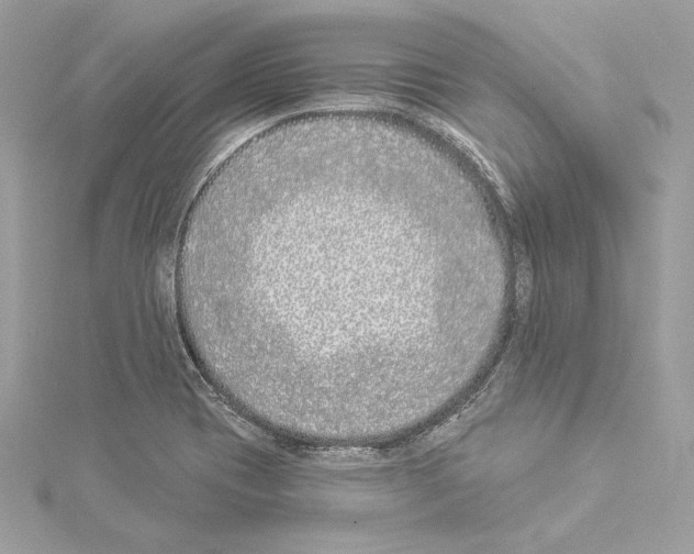 X0000114511417200911301138