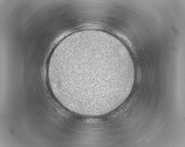 X0000114511419200911301138