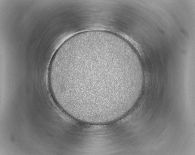 X0000114511423200911301139