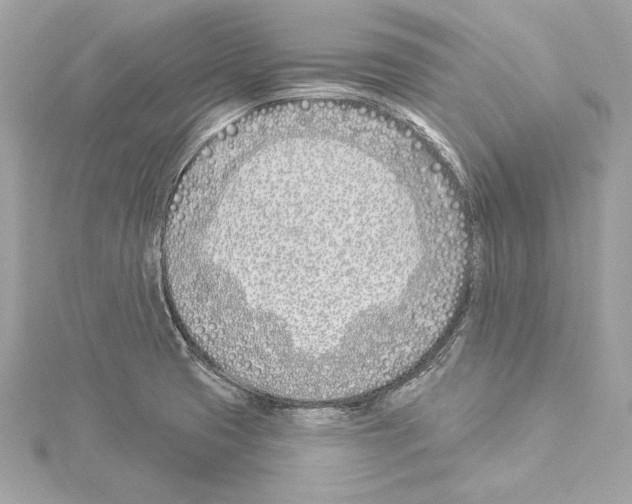 X0000114511425200911301139