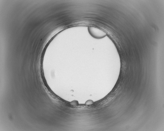 X0000114511426200911301139