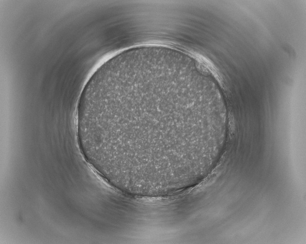 X0000114511428200911301139