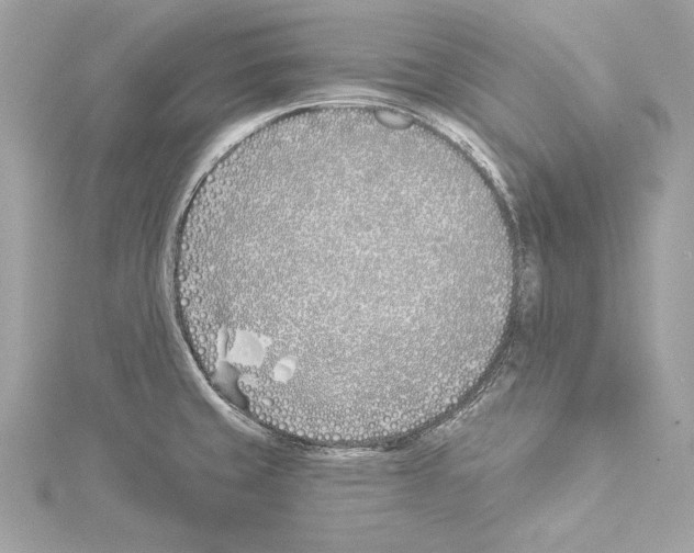 X0000114511429200911301139