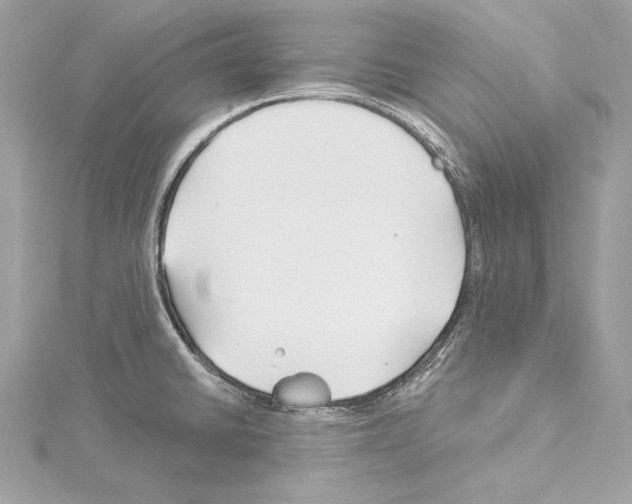 X0000114511430200911301139