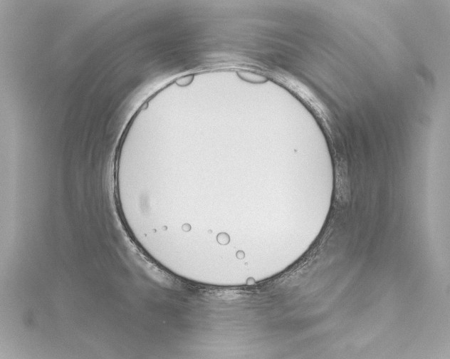 X0000114511431200911301139