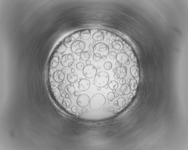 X0000114511432200911301139