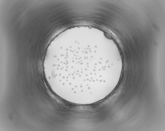 X0000114511433200911301139