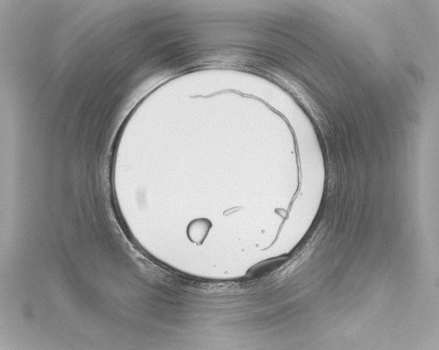 X0000114511434200911301139