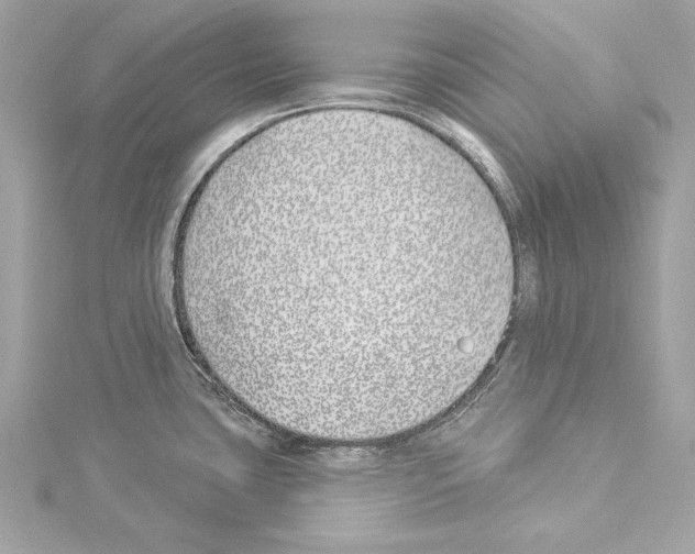 X0000114511435200911301139