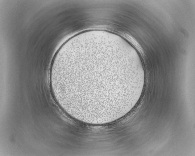 X0000114511436200911301139