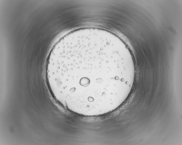 X0000114511437200911301139