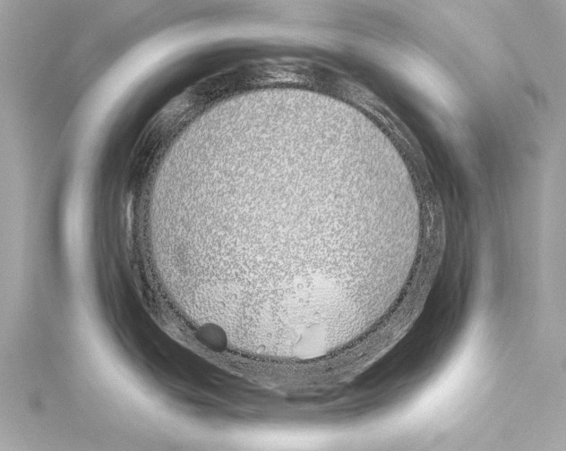 X0000114511439200911301139