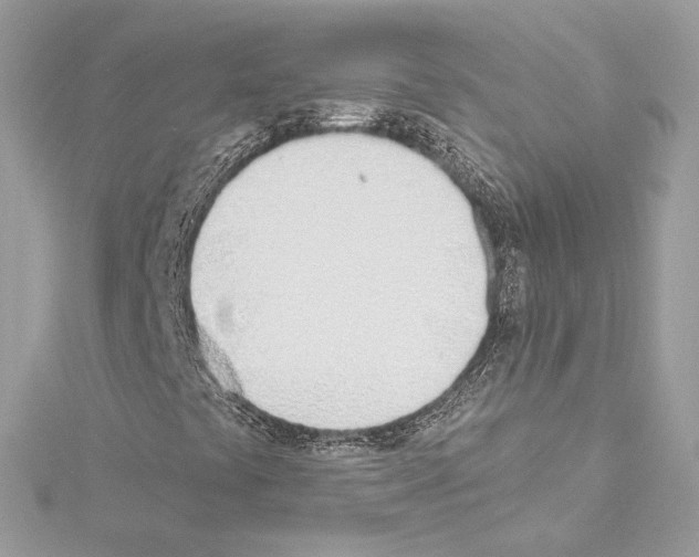 X0000114511441200911301138