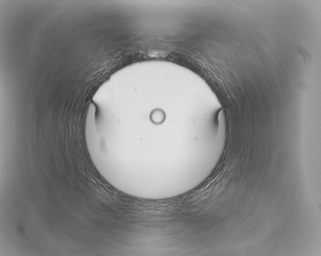 X0000114511443200911301138