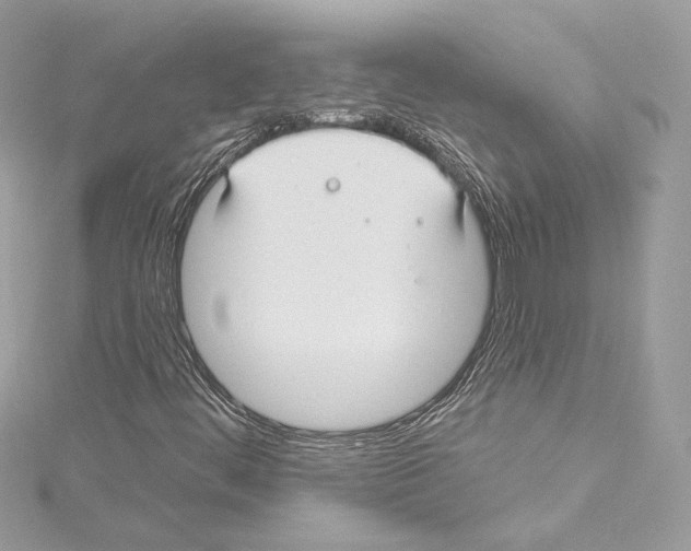 X0000114511444200911301138