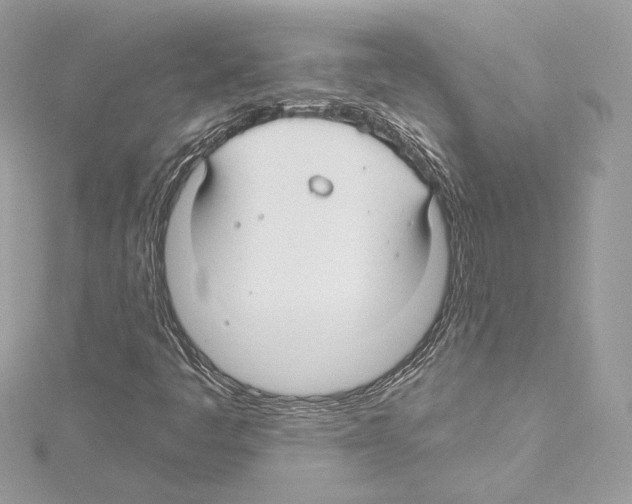 X0000114511445200911301138