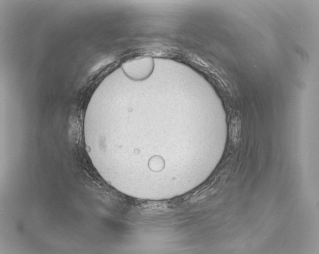 X0000114511446200911301138