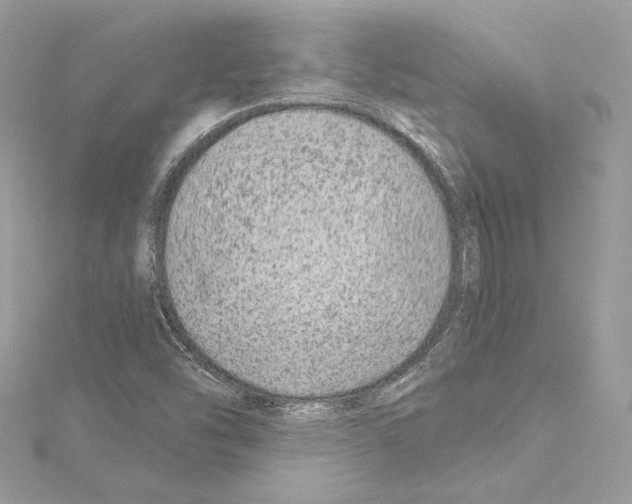 X0000114511454200911301138