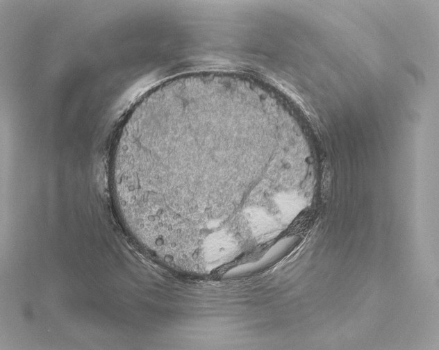 X0000114511455200911301138