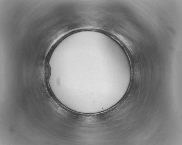 X0000114511460200911301138