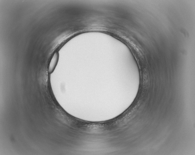 X0000114511461200911301138