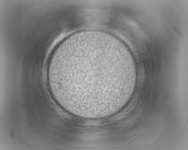 X0000114511462200911301138