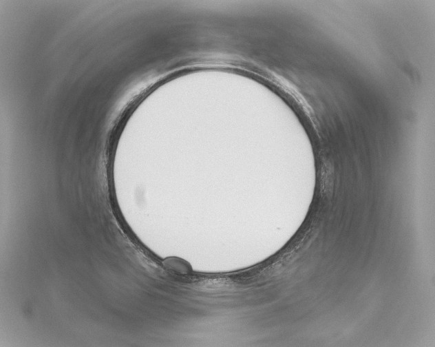 X0000114511464200911301138