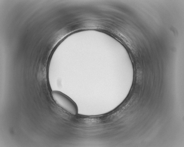 X0000114511465200911301138