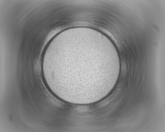 X0000114511466200911301138