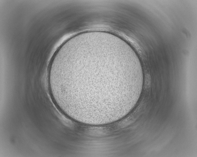 X0000114511470200911301138