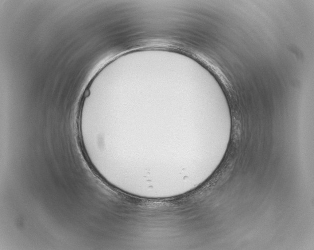 X0000114511475200911301138