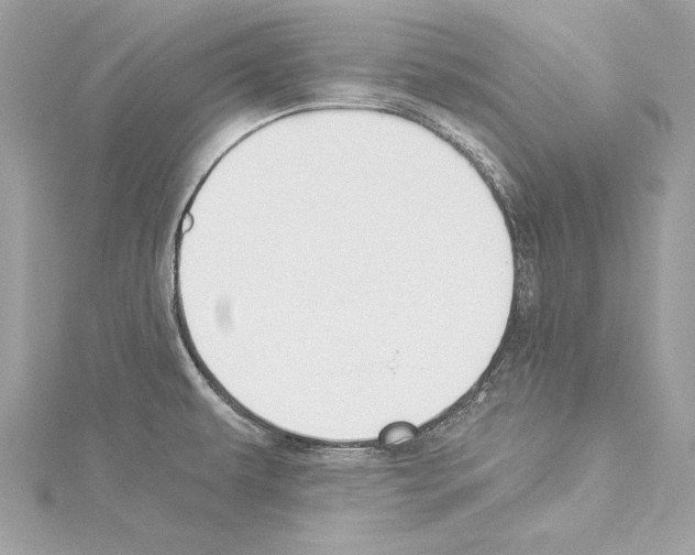 X0000114511479200911301137