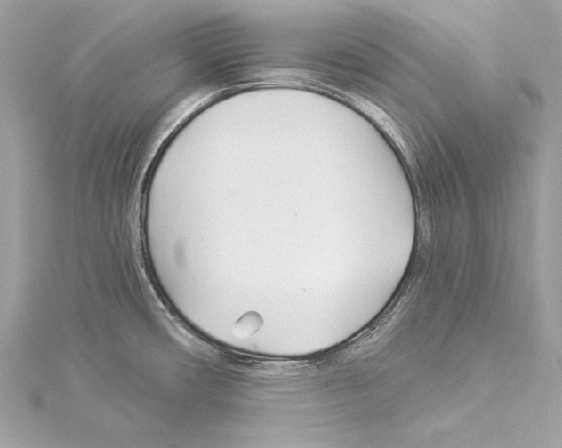 X0000114511482200911301137