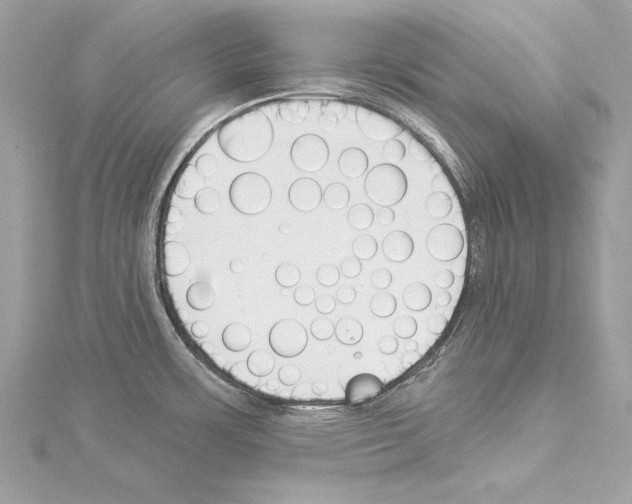 X0000114511483200911301137