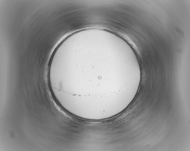 X0000114511484200911301137