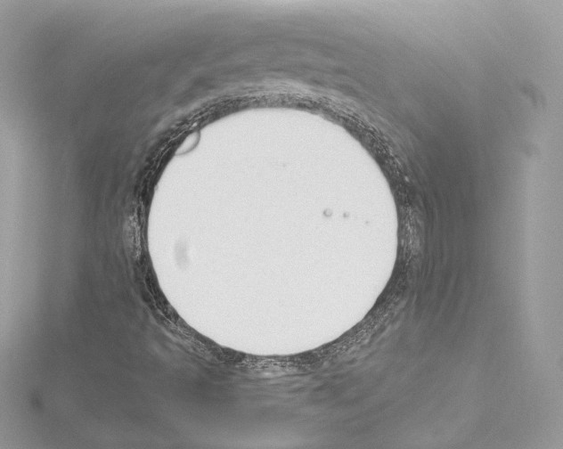 X0000114511493200911301137