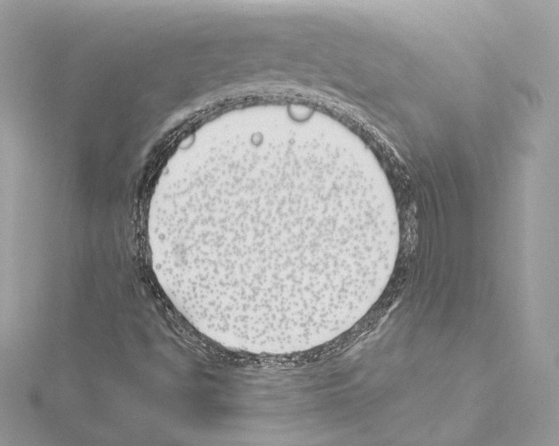 X0000114511494200911301137