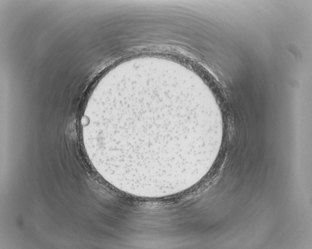 X0000114511497200911301137