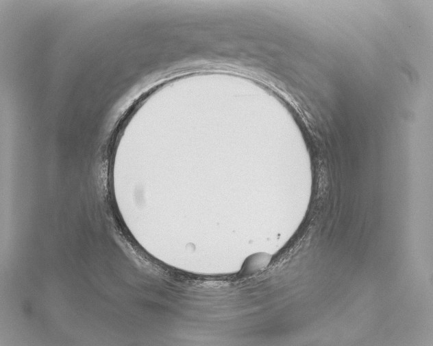 X0000114511503200911301137